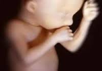 انتقال ترس مادر به نوزاد از طریق ثبت در خاطره ذهنی جنین