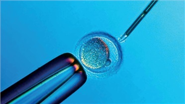 رویکردی جدید برای بهبود نتایج IVF