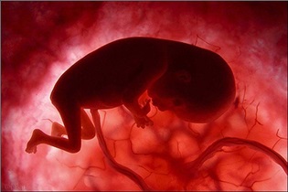 نقص عضو جنین با خوردن این خوراکی در دوران بارداری