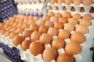 تخم مرغ ریسک سرطان سینه را کاهش می دهد