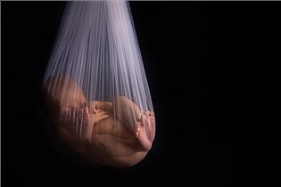  با فریز تخمک و جنین، هیچ‌وقت برای بچه‌دار شدن دیر نیست/ چه زنانی برای این عمل مناسب‌ترند؟