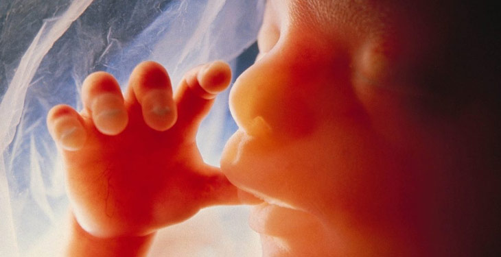  ناخوشی صبحگاهی زنان باردار خطر سقط جنین را کاهش می دهد