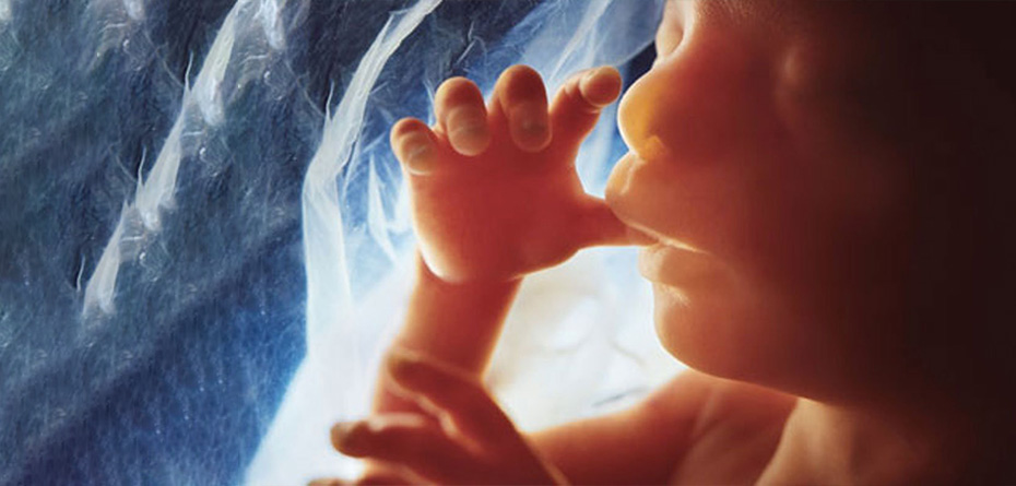 تنفس جنین در رحم چگونه است؟