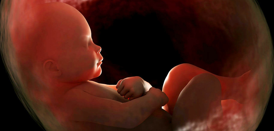 بیدار کردن جنین در رحم ممکن است؟