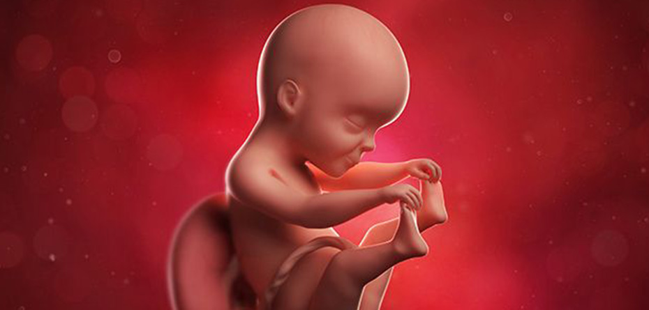 تشخیص بیماری‌های نادر مغزی در دوران جنینی