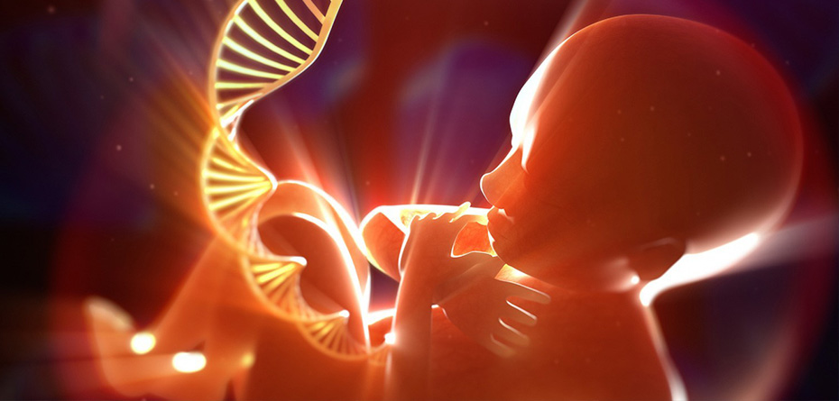 مشاوره ژنتیک پیش از بارداری از مهم ترین اقدامات تعیین جنسیت جنین است
