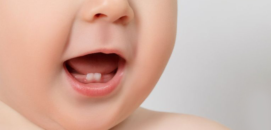 راهنمای تصویری: جدول زمانی رویش دندان های نوزاد