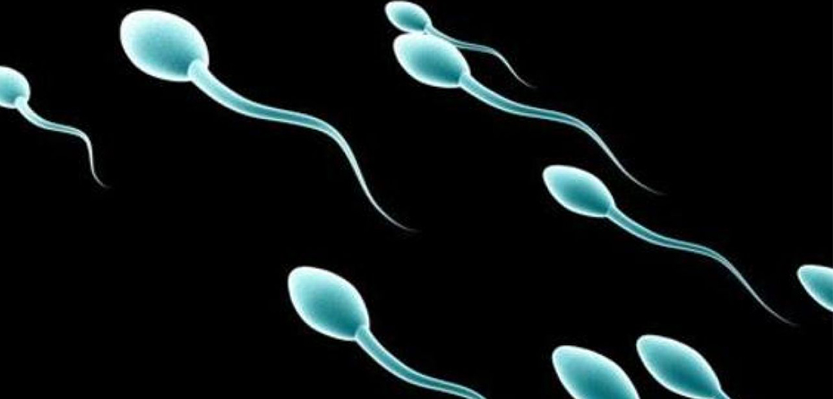  ۷ راه برای افزایش تعداد اسپرم
